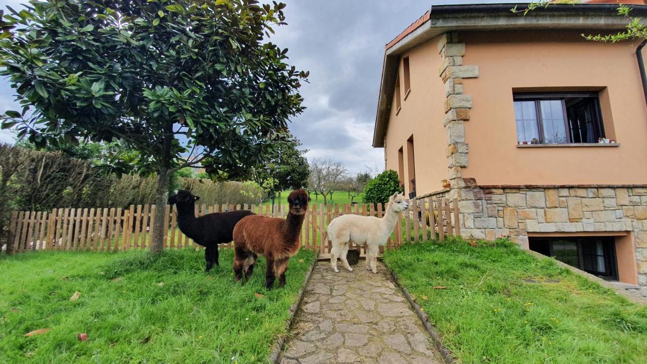 Hotel 3 Alpacas La Campa Bagian luar foto